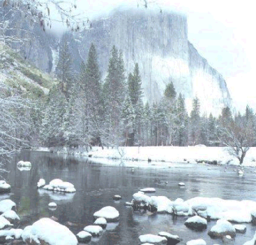 Badger Pass Winter