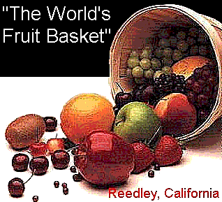 Welcome to Reedley, California
The Fruit Basket of the World.  Come enjoy the many places to visit and sites 
to see!