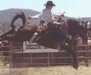 Rodeo