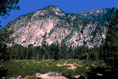 Overview
