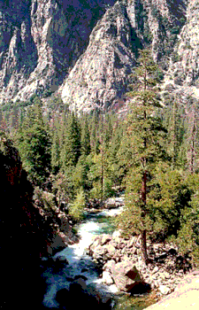 Overview