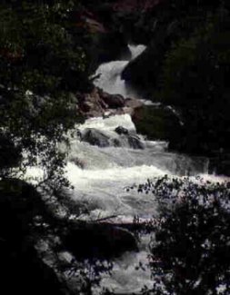 Roaring River