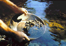 Panning for Gold