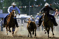 Rodeo