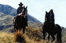Horseback Riding