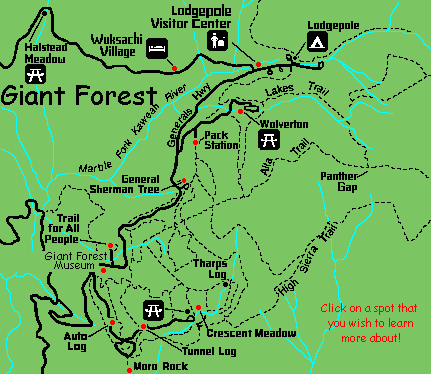 Giant Forest Village