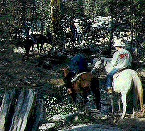 Horse Packing