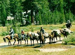 Dinkey Creek Packers