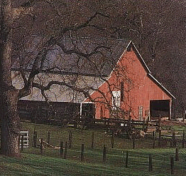 Barn