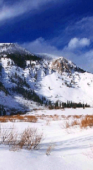 Mammoth Rock