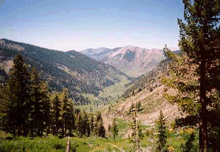 Mineral King