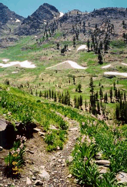 Take A Hike