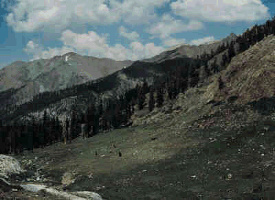 White Chief Lakes