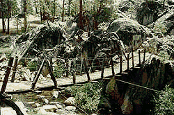 Hanging Bridge