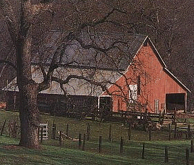 Barn