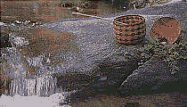 Indian Baskets
