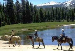 Horseback Riding