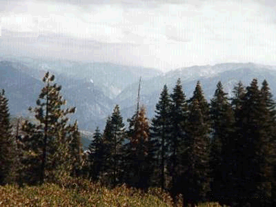 Panoramic Point