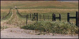 Fence Picture
