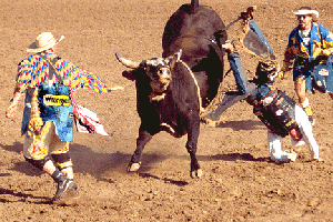 Rodeo Clowns