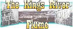 Flume Logo