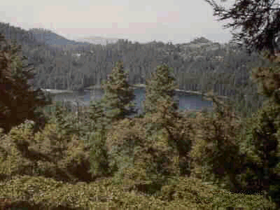 Sequoia Lake Overlook