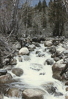 Beautiful Stream