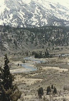 Tioga Area