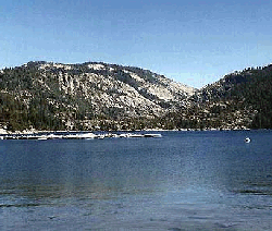 Pinecrest