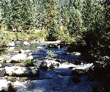 South Fork