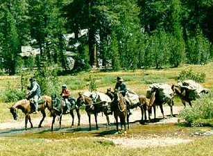 Horseback Riding