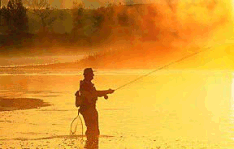 Fly Fishing