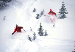 Skiers