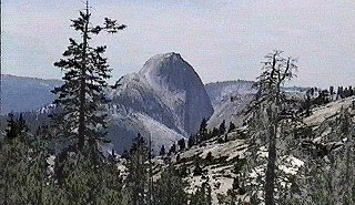 Half Dome View