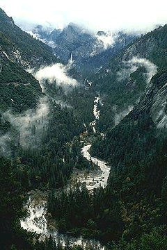 Rain in Yosemite